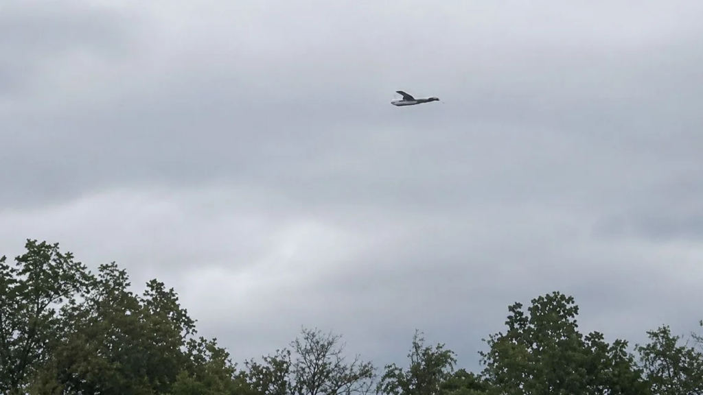 Salta: vecinos filmaron avionetas volando a baja altura y denuncian narcovuelos en Alto La Sierra